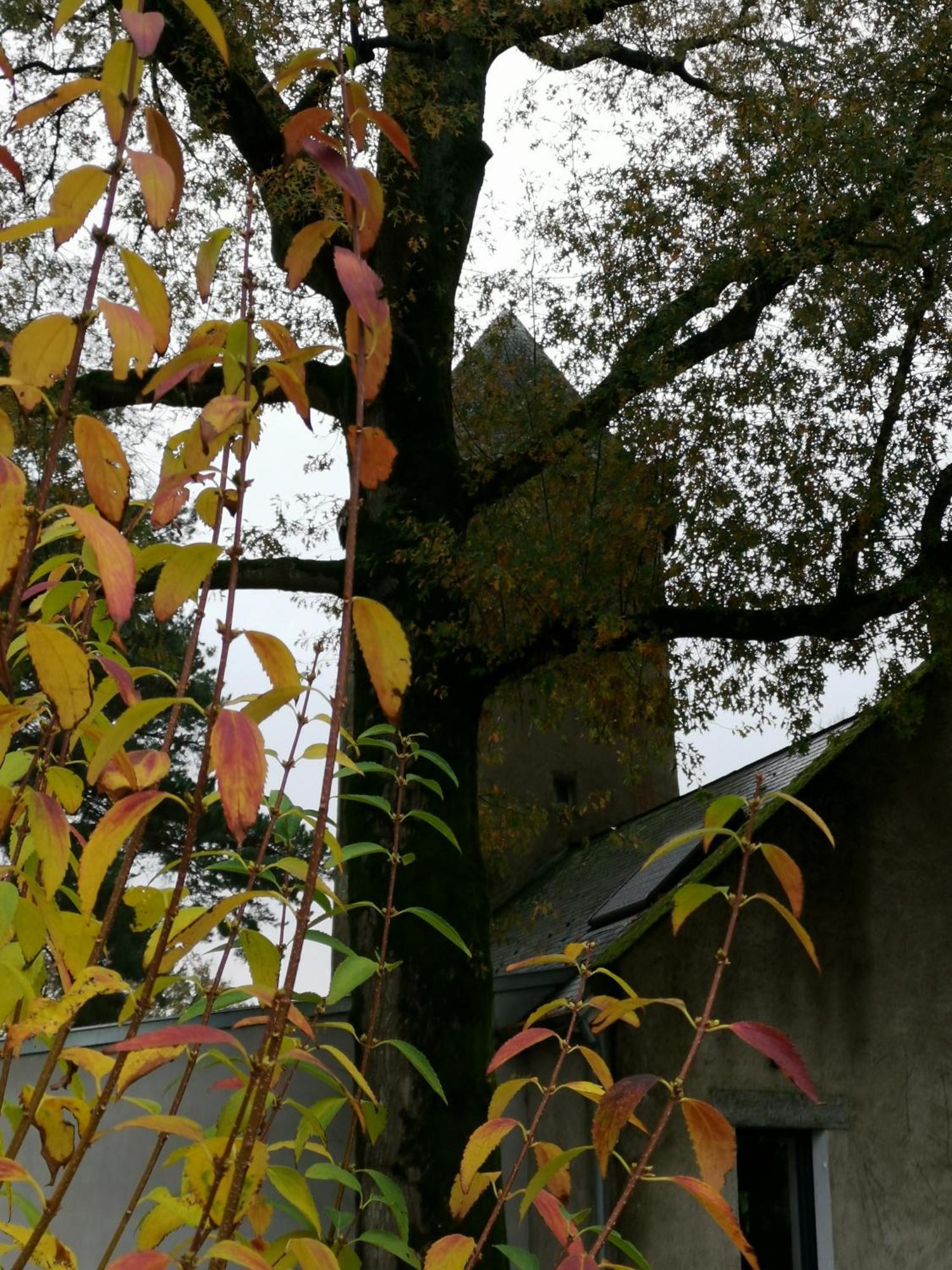 Le Moulin De La Retardiere 奥尔沃 外观 照片