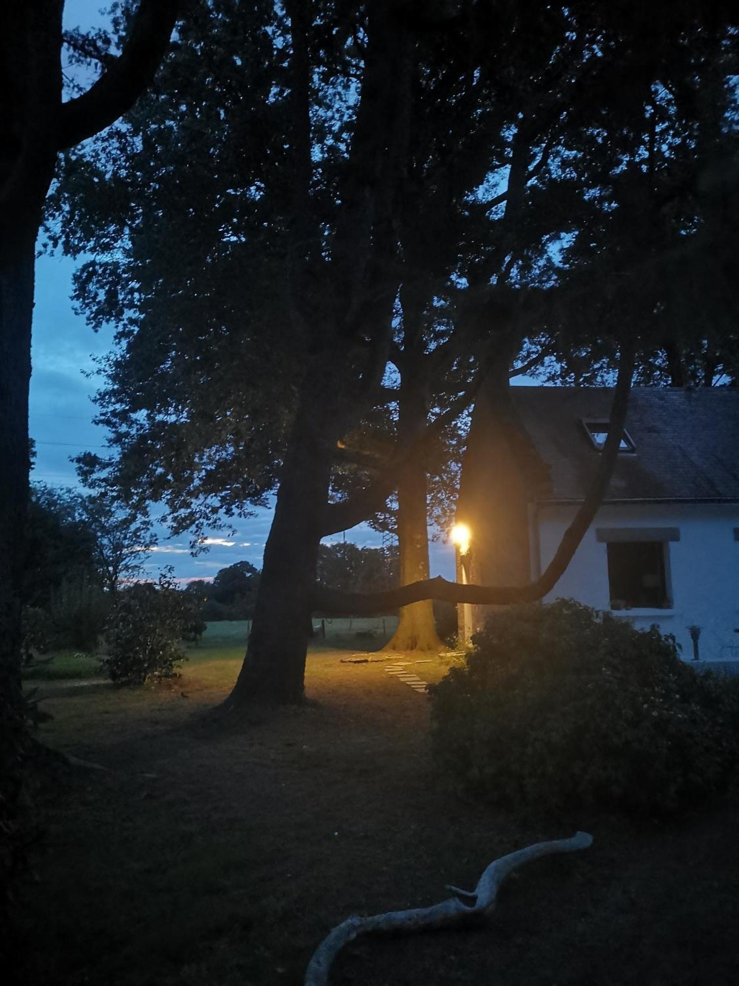 Le Moulin De La Retardiere 奥尔沃 外观 照片